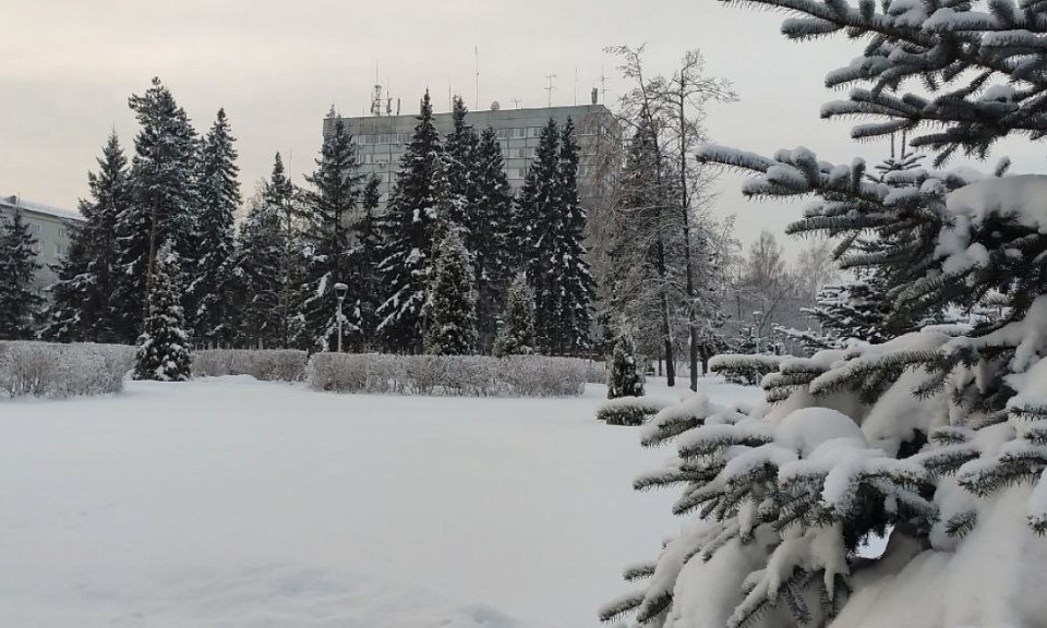 Потепление и снегопад ожидаются в Новосибирске на Крещение