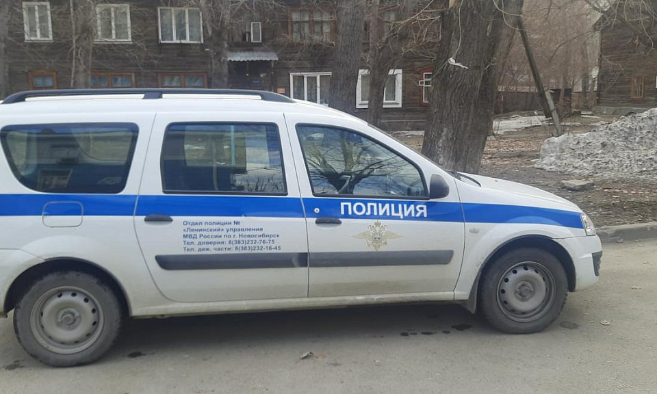Под Новосибирском дерущиеся подростки повредили две машины