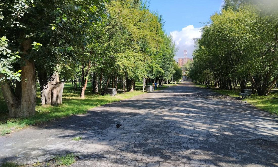 В Новосибирске парки и скверы обработали от клещей