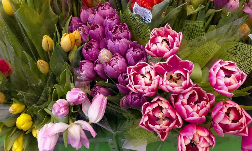 В Новосибирске цены на тюльпаны выросли на 30% к 8 Марта