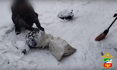 Пять лет тюрьмы грозит двум жителям Новосибирской области за кражу угля