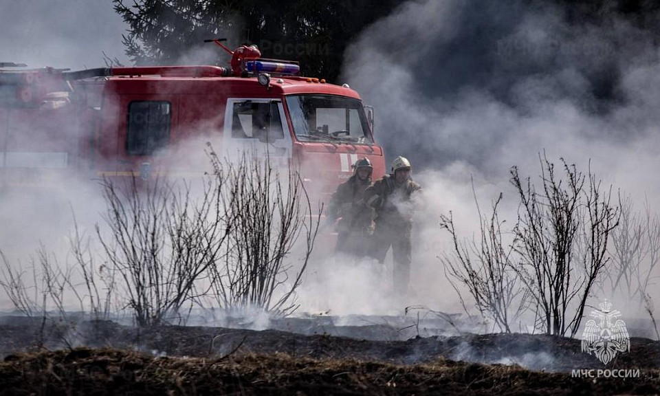 В Новосибирской области начался пожароопасный сезон