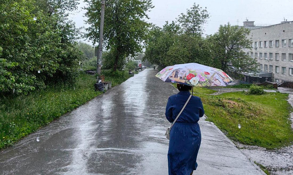 Названа дата возвращения дождей и гроз в Новосибирск