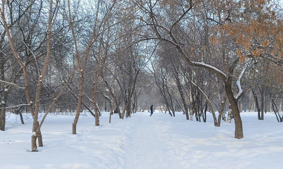 Новый парк «Иня» появится в Первомайском районе Новосибирска