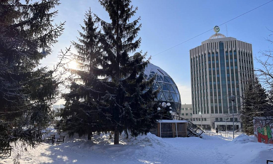 В конце февраля в Новосибирской области потеплеет до -8 градусов