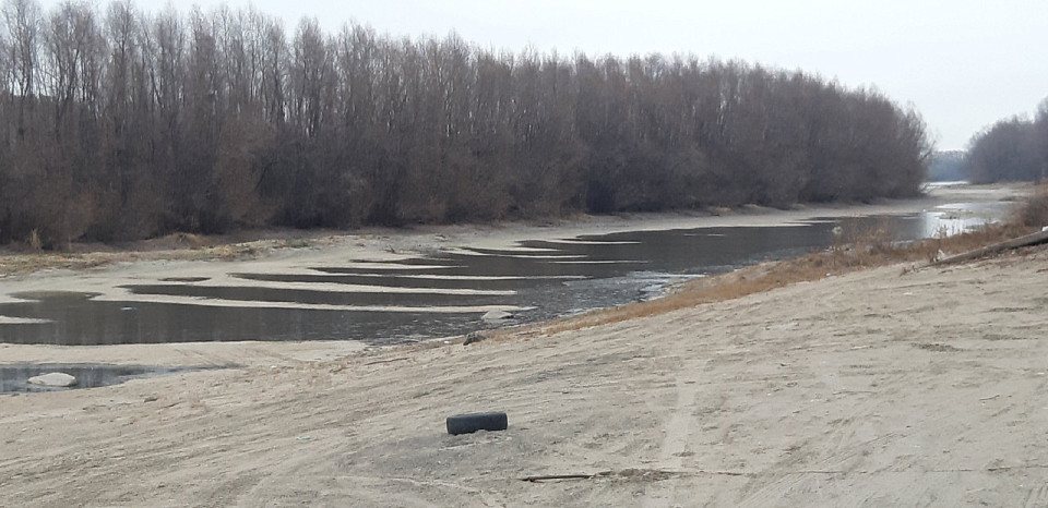 В Новосибирске обмелела протока Оби в районе Кудряшей