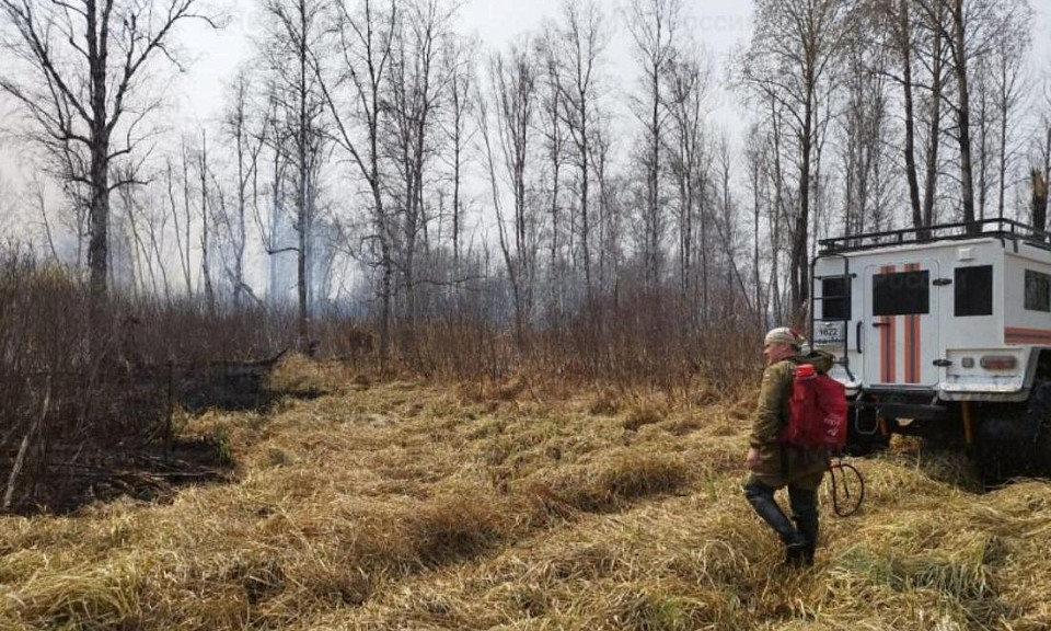 Жителей деревни в Новосибирской области эвакуировали из-за угрозы пожара