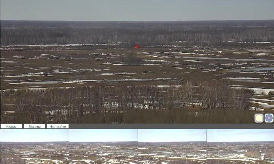 Камеры будут мониторить обстановку в лесах Новосибирской области