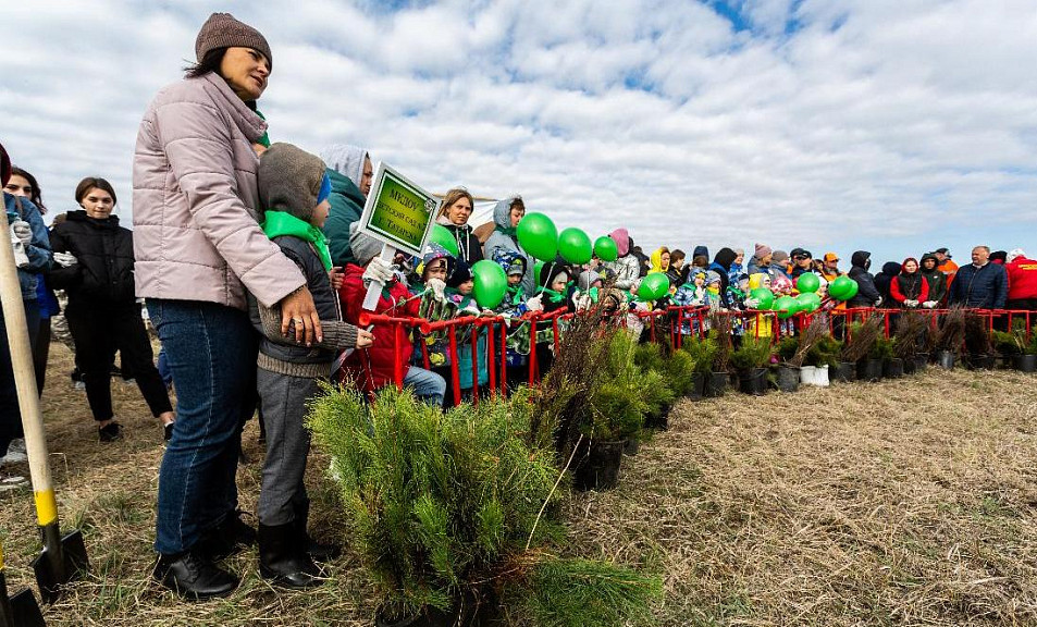 «Сохраним лес вместе»: более 20 000 саженцев высадили в Новосибирской области