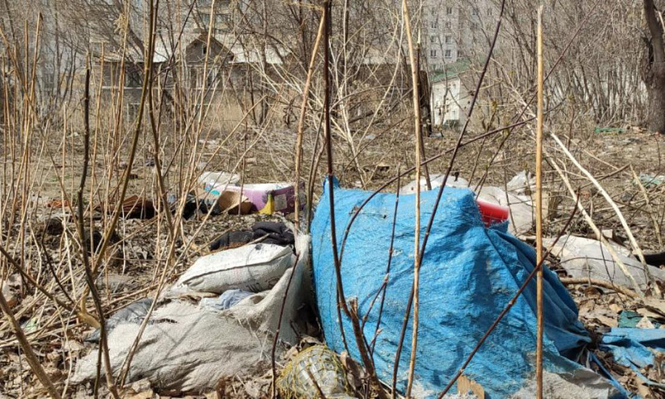 В Новосибирской области ликвидировали незаконную свалку