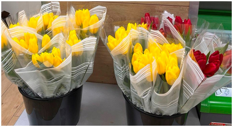 Как дёшево купить идеальные тюльпаны в Новосибирске и сохранить их надолго