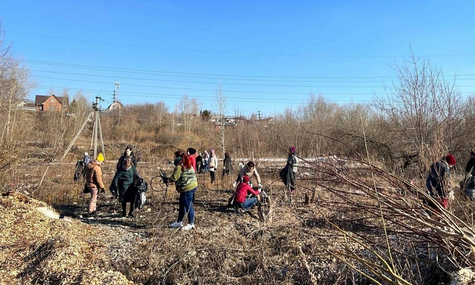 Территорию будущего парка «Каменка» очистили в Новосибирске на субботнике