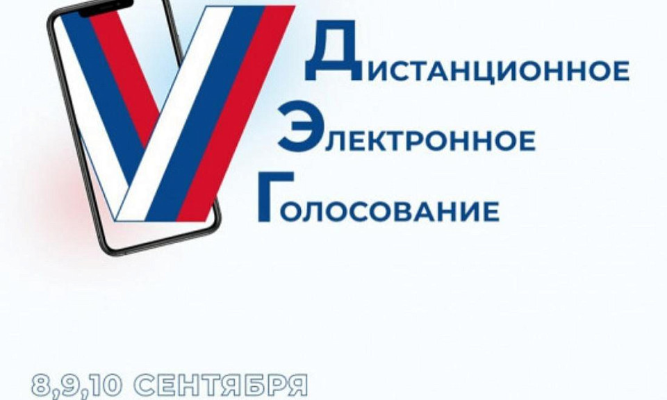 Известные жители Новосибирской области за дистанционное голосование