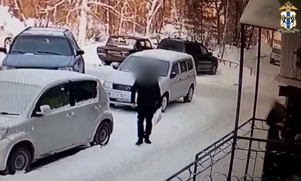 В Куйбышеве полицейские задержали грабителя