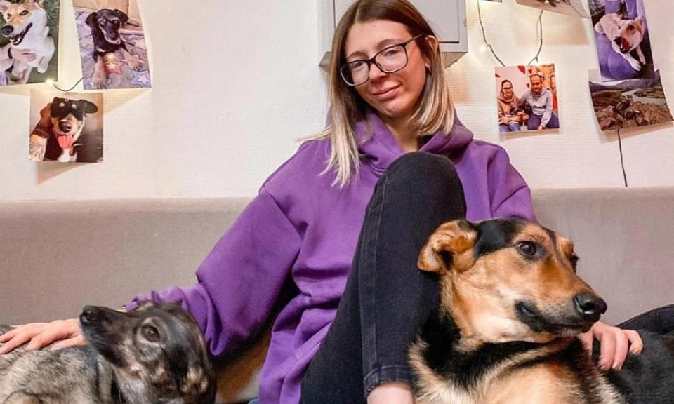 Первое в России «пёсокафе» в Новосибирске теперь станет фондом помощи собакам