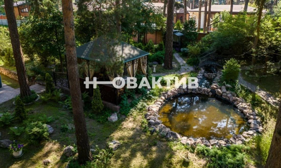 Под Новосибирском за 35 млн рублей продают дом с водопадом и прудом