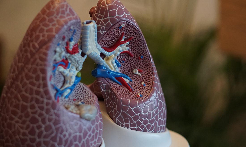 Статистику о болезнях лёгочной системы в Новосибирской области привела врач