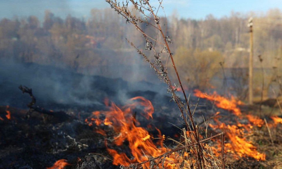 В Новосибирской области возник пожар на территории Кирзинского заказника