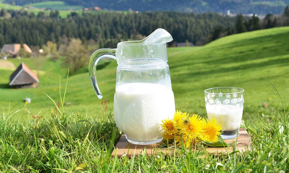 Молоко в Новосибирской области оказалось на 13 рублей дороже омского