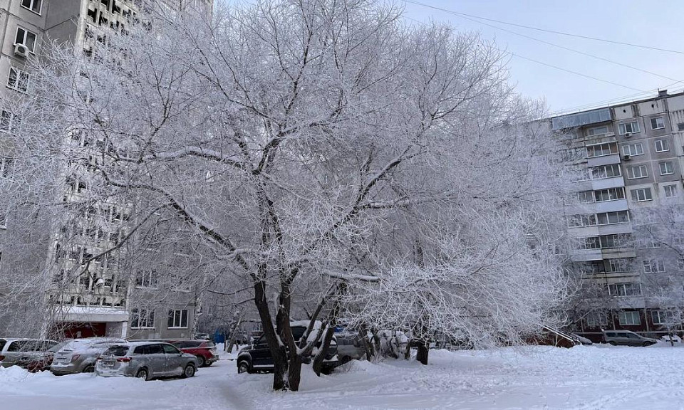 По ощущениям -32: погода в Новосибирске на 17 февраля