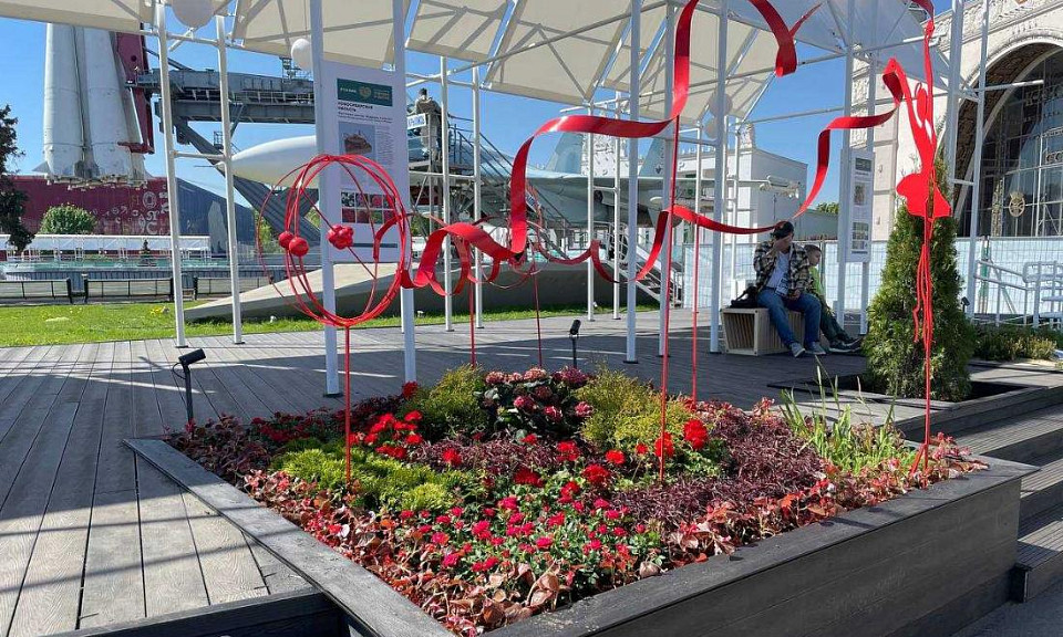 Ирис сибирский стал символом Новосибирской области на фестивале цветов на ВДНХ