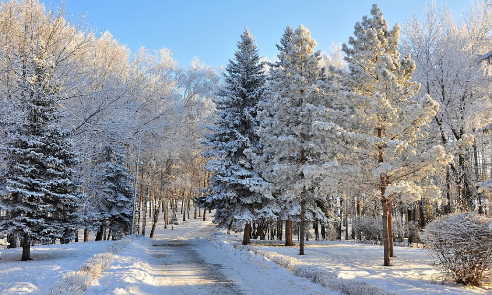 Зима в Новосибирске будет без солнца: погода 30 ноября в Новосибирской области