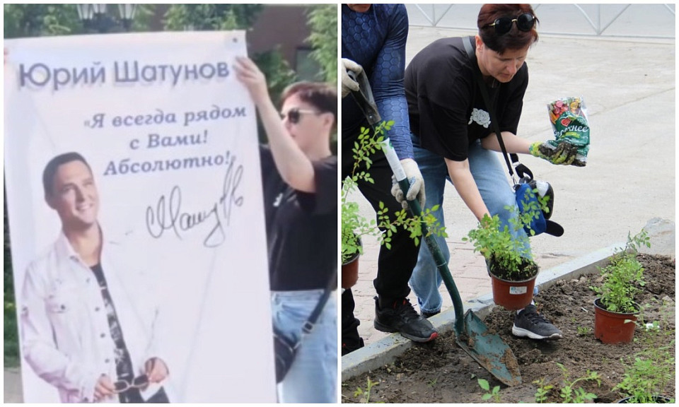 В Новосибирске фанаты высадили алею белых роз в память о Юрии Шатунове