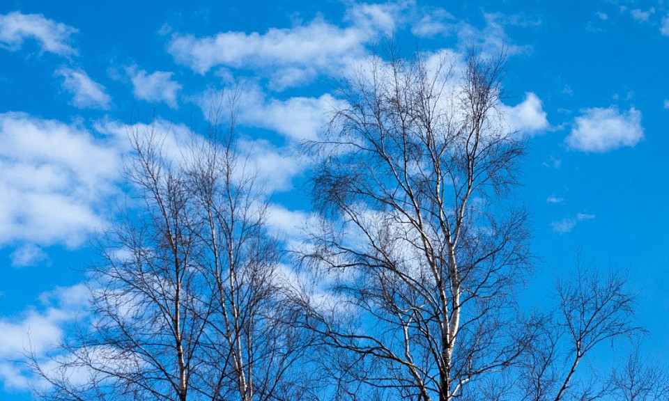 Ясный день ‒ к быстрой весне: погода 6 марта в Новосибирской области