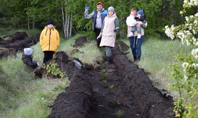 Дети с родителями посадили семейный лес в Новосибирской области