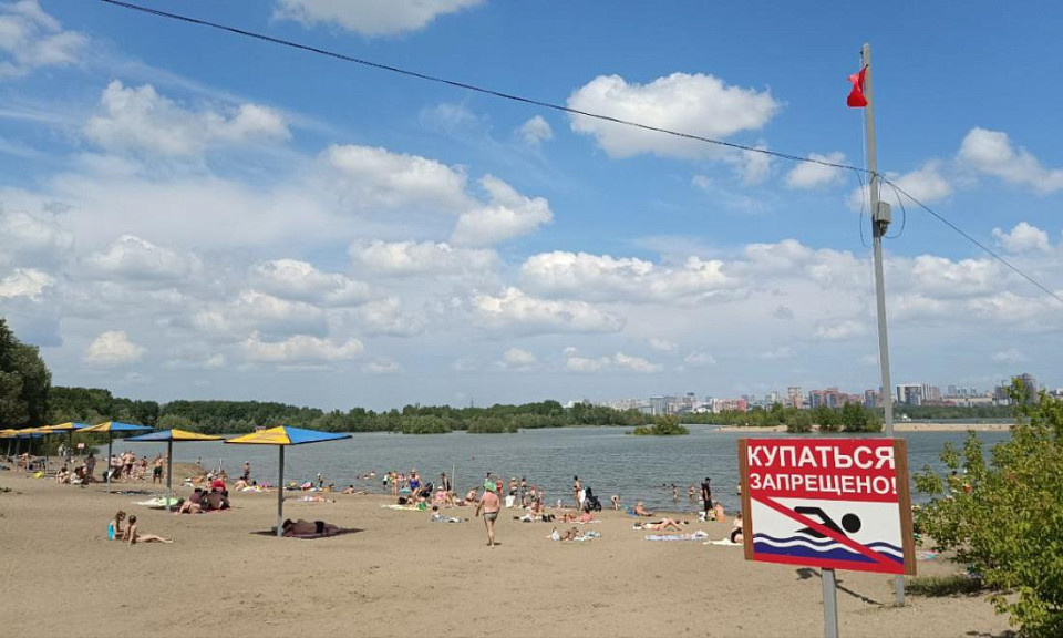 В Новосибирской области сохраняется аномальная жара