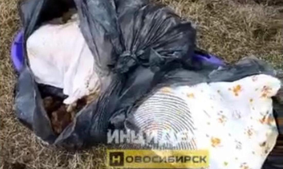 Мешки с телами собак нашли под Новосибирском