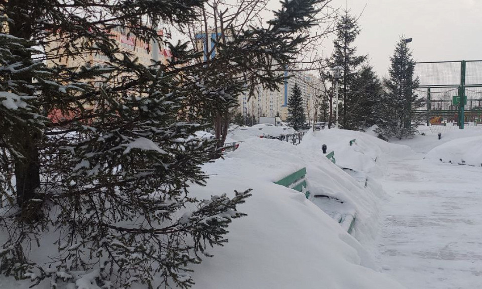 Июль будет безветренным: погода на 6 февраля в Новосибирской области