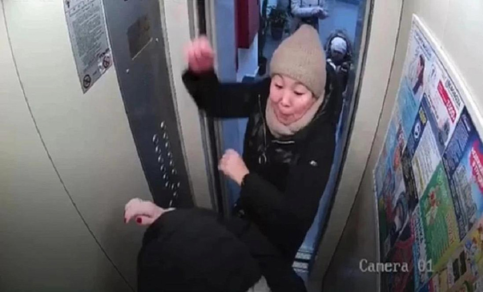 Дело закрыто: многодетная мать избила в лифте старшую по дому в Новосибирске