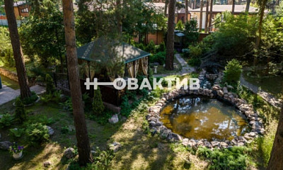 Под Новосибирском за 35 млн рублей продают дом с водопадом и прудом