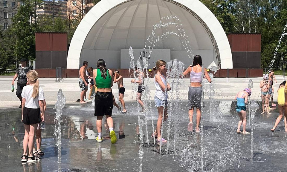 В Новосибирске на выходных обещают аномальную жару