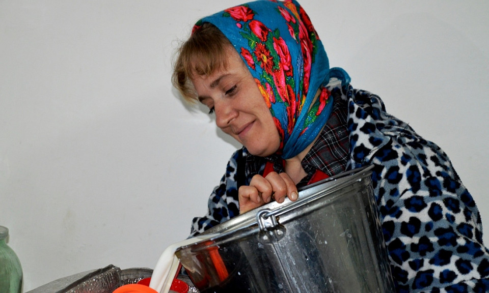 Семейная ферма Гришиных кормит молоком доволенцев в Новосибирской области
