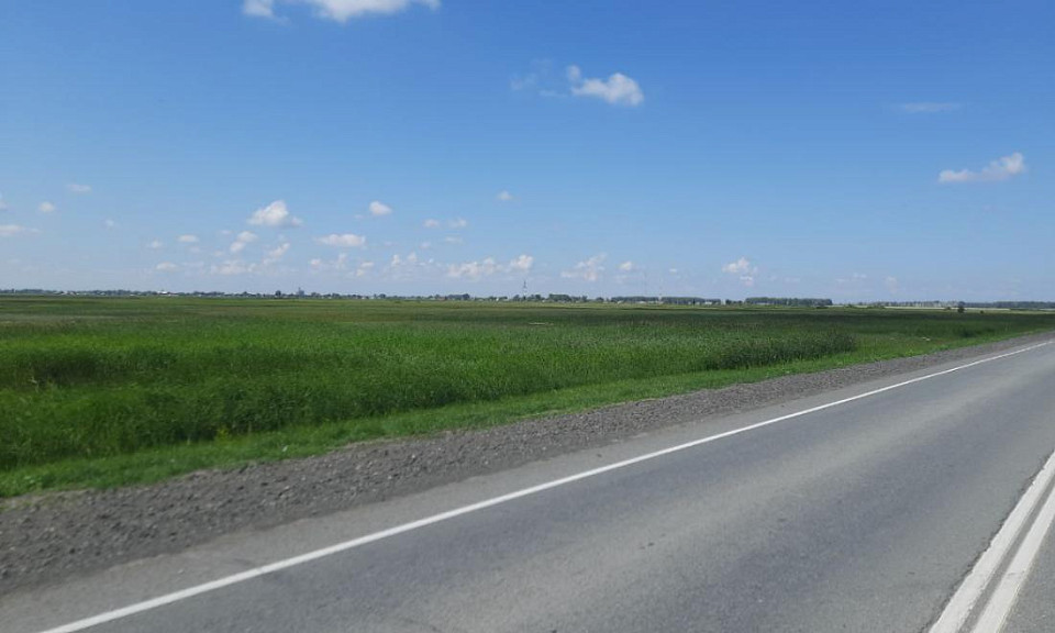 Стоимость земли выросла в Новосибирской области