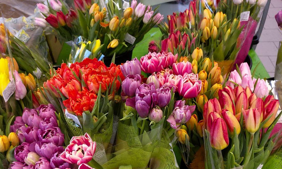 Флорист из Новосибирска рассказала, как правильно выбрать тюльпаны к 8 Марта