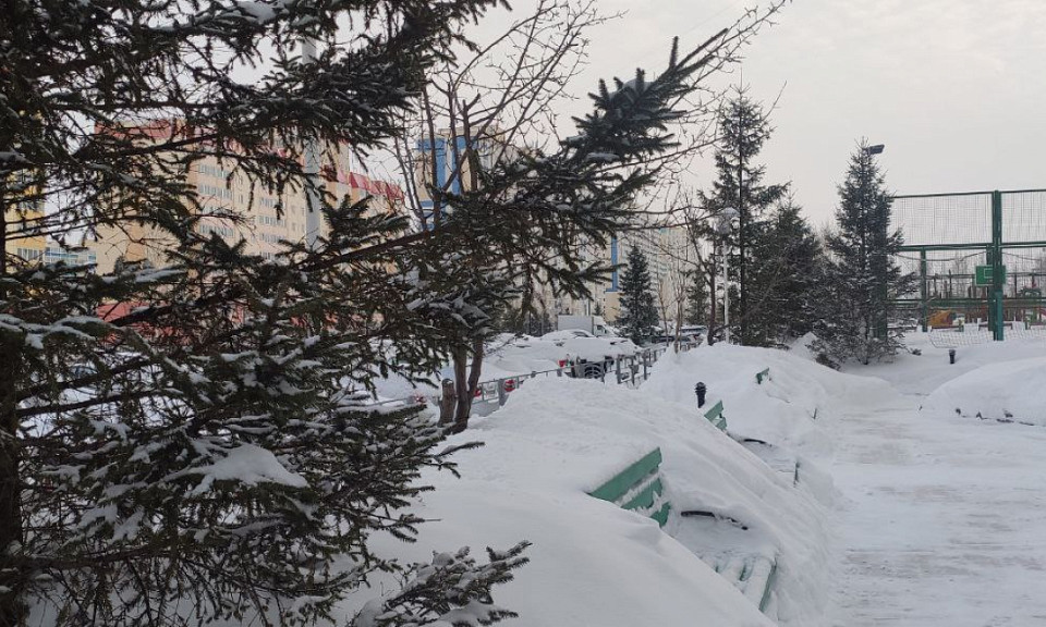 Февраль будет прохладным: погода на 1 февраля в Новосибирской области