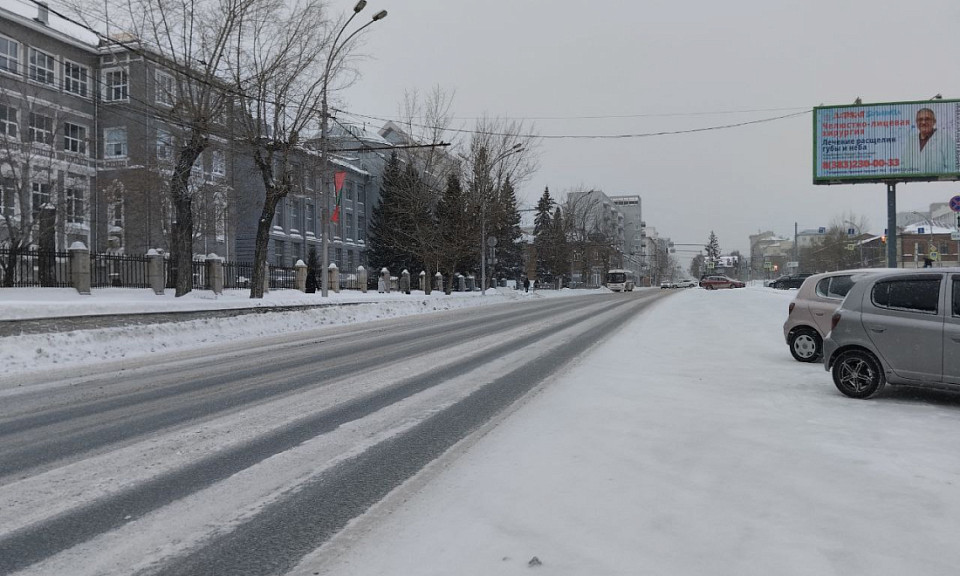 Тёплый день — к ранней весне: погода на 24 января в Новосибирской области