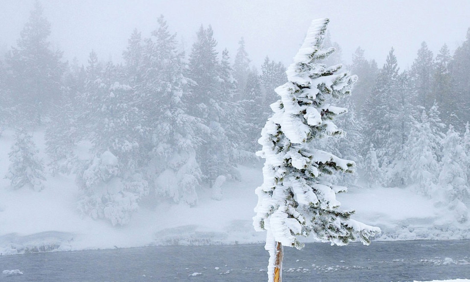 Стала известна погода на Рождество: прогноз на 4 декабря в Новосибирской области