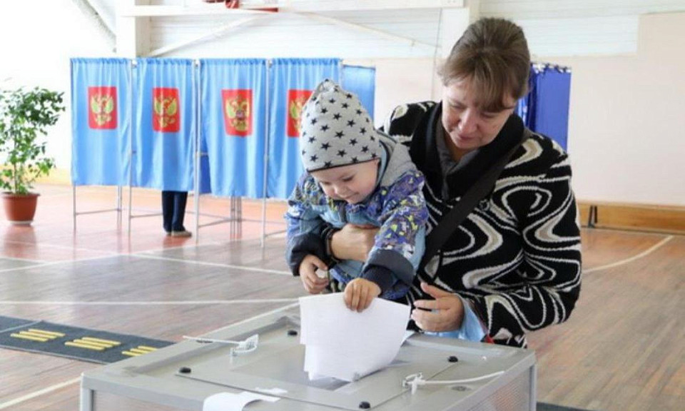 Как эксперты оценили ход выборов в Новосибирской области