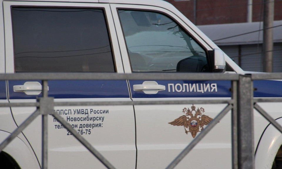 В Новосибирске начали судить жителя за нападение с бруском на завуча
