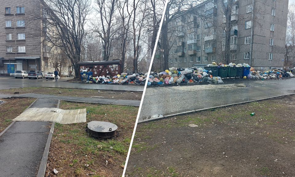 «Прекратите превращать нашу жизнь в свалку!»: новосибирцы жалуются на мусорные горы во дворах