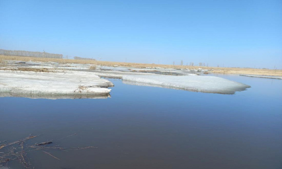В Новосибирской области круглосуточно контролируют ситуацию с паводком