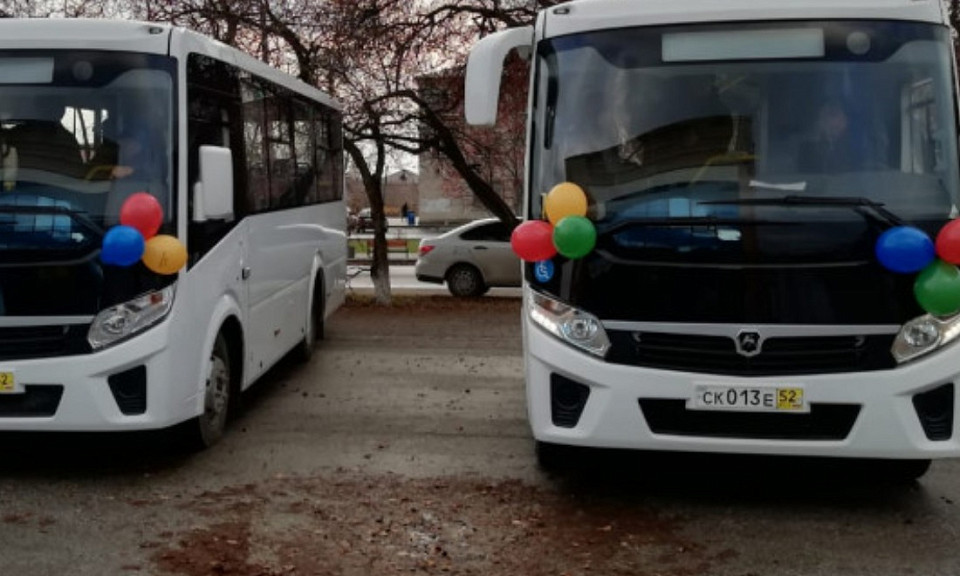 В Новосибирске с 1 июля запустят новый автобус до аэропорта «Толмачёво»