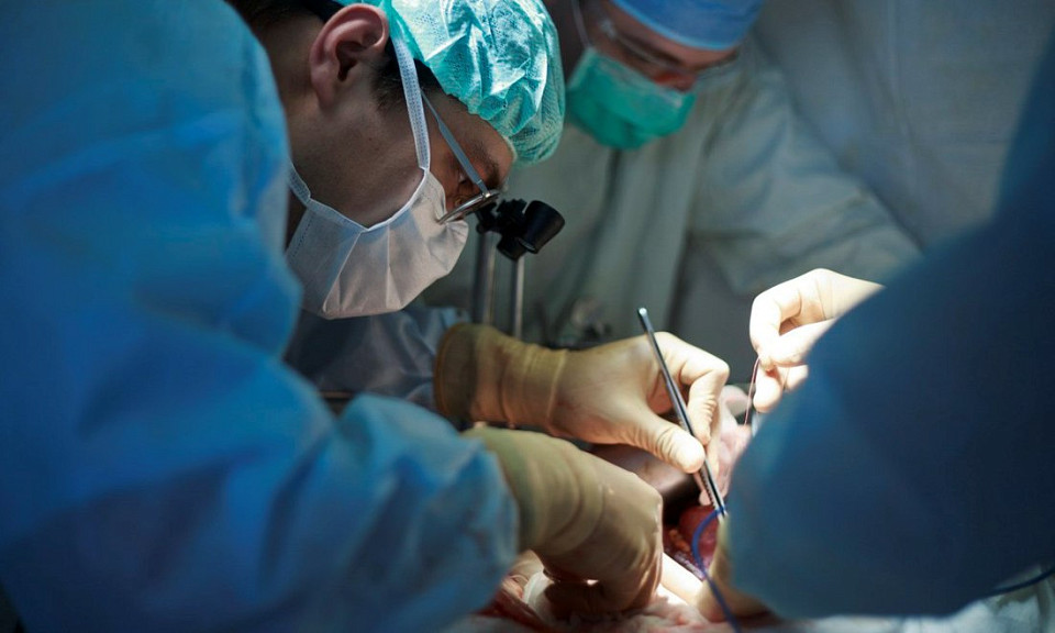 В Новосибирске трасплантологи спасли женщину в печёночной коме