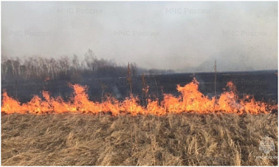 В Новосибирской области назвали самые пожароопасные районы