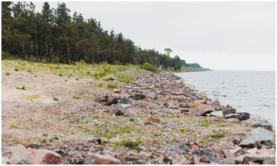 60-летний мужчина утонул на диком пляже в Новосибирской области