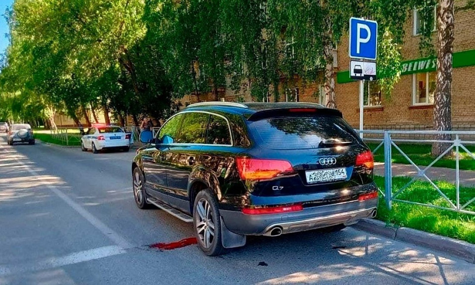 В Новосибирске насмерть сбивший ребенка водитель Audi получил условный срок